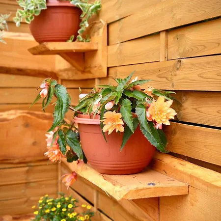 Chatki U Agatki Vakantiehuis Jezierzany