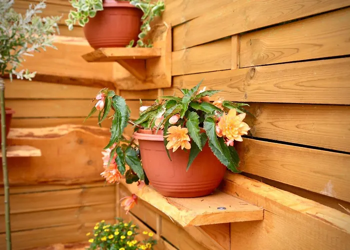 Chatki U Agatki בית נופש Jezierzany